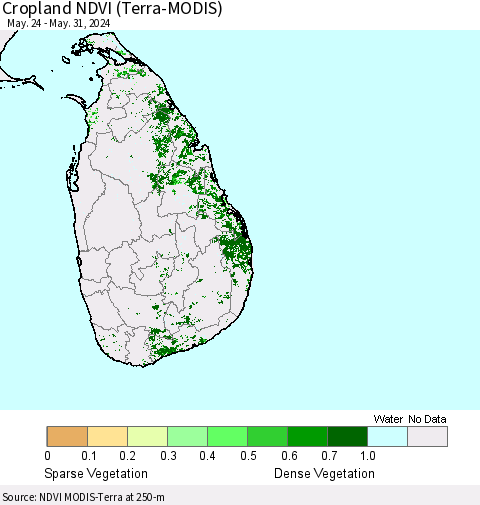 Sri Lanka Cropland NDVI (Terra-MODIS) Thematic Map For 5/24/2024 - 5/31/2024