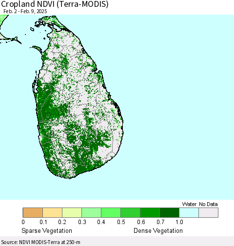 Sri Lanka Cropland NDVI (Terra-MODIS) Thematic Map For 2/2/2025 - 2/9/2025