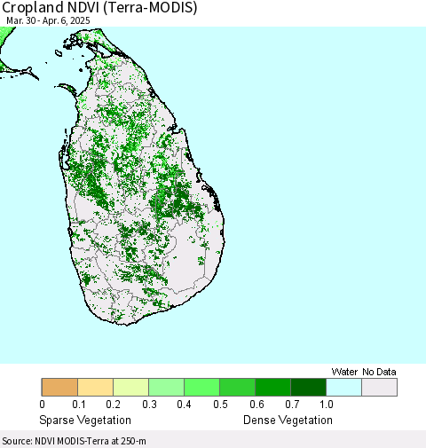 Sri Lanka Cropland NDVI (Terra-MODIS) Thematic Map For 3/30/2025 - 4/6/2025
