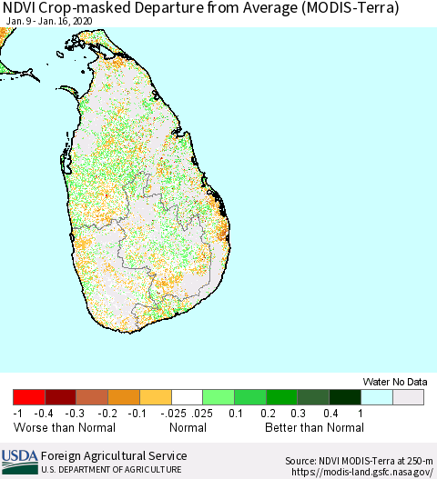 Sri Lanka Cropland NDVI Departure from Average (Terra-MODIS) Thematic Map For 1/11/2020 - 1/20/2020