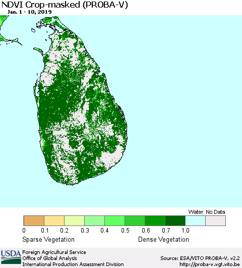 Sri Lanka NDVI Crop-masked (PROBA-V) Thematic Map For 1/1/2019 - 1/10/2019