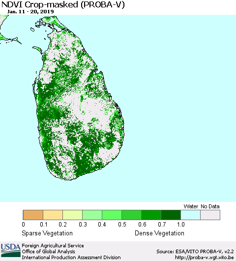 Sri Lanka NDVI Crop-masked (PROBA-V) Thematic Map For 1/11/2019 - 1/20/2019