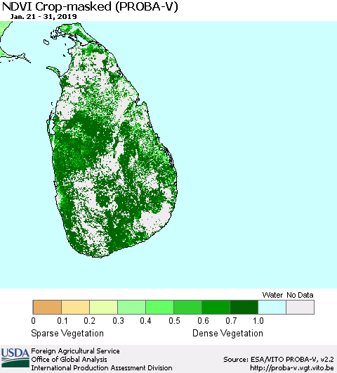 Sri Lanka NDVI Crop-masked (PROBA-V) Thematic Map For 1/21/2019 - 1/31/2019