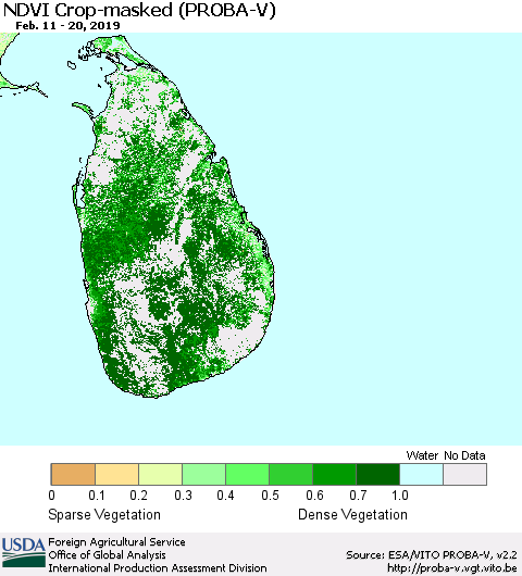 Sri Lanka NDVI Crop-masked (PROBA-V) Thematic Map For 2/11/2019 - 2/20/2019