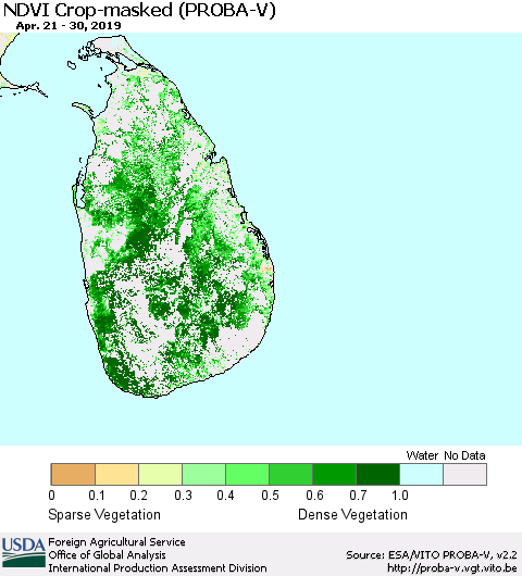 Sri Lanka NDVI Crop-masked (PROBA-V) Thematic Map For 4/21/2019 - 4/30/2019