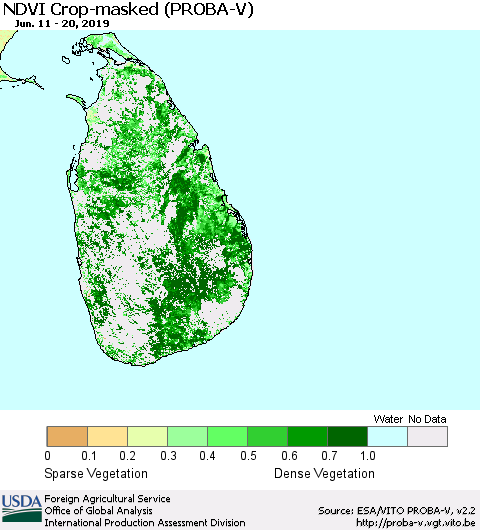 Sri Lanka NDVI Crop-masked (PROBA-V) Thematic Map For 6/11/2019 - 6/20/2019