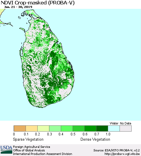 Sri Lanka NDVI Crop-masked (PROBA-V) Thematic Map For 6/21/2019 - 6/30/2019