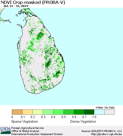 Sri Lanka NDVI Crop-masked (PROBA-V) Thematic Map For 10/21/2019 - 10/31/2019
