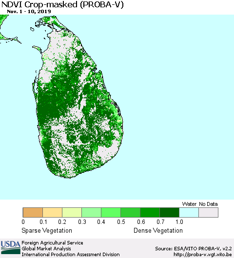 Sri Lanka NDVI Crop-masked (PROBA-V) Thematic Map For 11/1/2019 - 11/10/2019