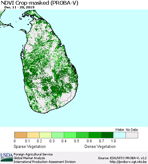 Sri Lanka NDVI Crop-masked (PROBA-V) Thematic Map For 12/11/2019 - 12/20/2019