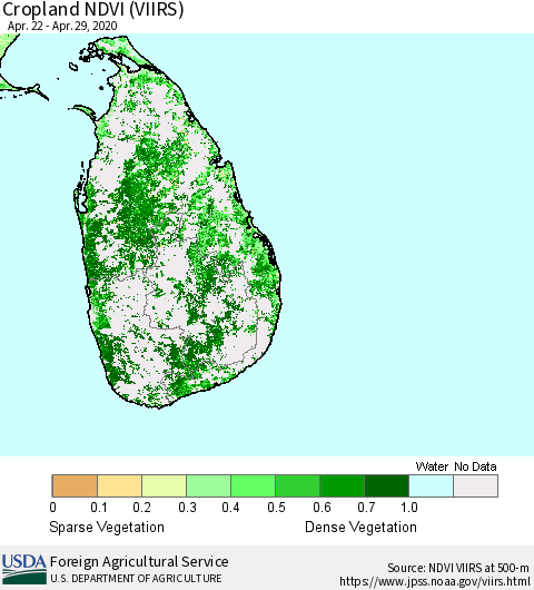 Sri Lanka Cropland NDVI (VIIRS) Thematic Map For 4/21/2020 - 4/30/2020