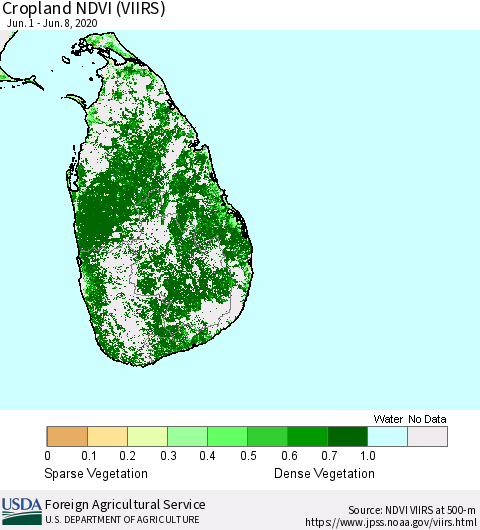 Sri Lanka Cropland NDVI (VIIRS) Thematic Map For 6/1/2020 - 6/10/2020