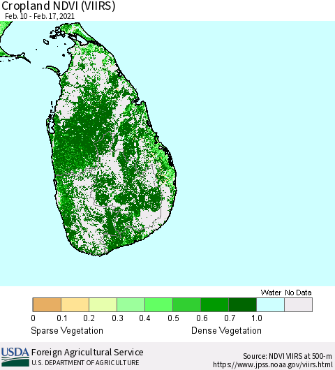 Sri Lanka Cropland NDVI (VIIRS) Thematic Map For 2/11/2021 - 2/20/2021
