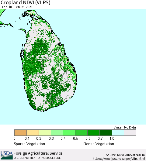 Sri Lanka Cropland NDVI (VIIRS) Thematic Map For 2/21/2021 - 2/28/2021