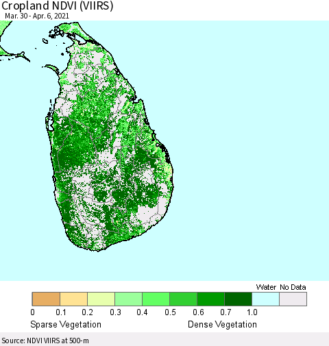 Sri Lanka Cropland NDVI (VIIRS) Thematic Map For 3/30/2021 - 4/6/2021