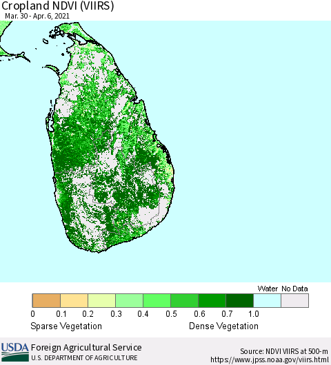 Sri Lanka Cropland NDVI (VIIRS) Thematic Map For 4/1/2021 - 4/10/2021