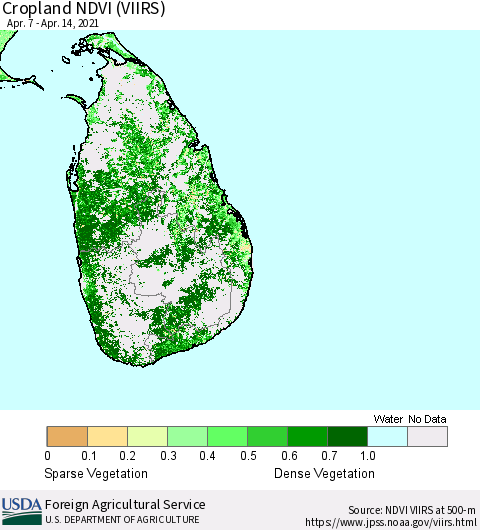Sri Lanka Cropland NDVI (VIIRS) Thematic Map For 4/11/2021 - 4/20/2021