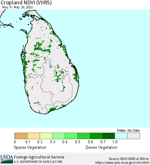 Sri Lanka Cropland NDVI (VIIRS) Thematic Map For 5/11/2021 - 5/20/2021