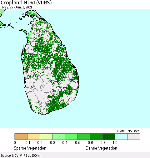 Sri Lanka Cropland NDVI (VIIRS) Thematic Map For 5/25/2021 - 6/1/2021