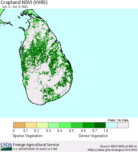 Sri Lanka Cropland NDVI (VIIRS) Thematic Map For 6/1/2021 - 6/10/2021