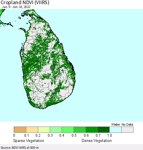 Sri Lanka Cropland NDVI (VIIRS) Thematic Map For 1/9/2022 - 1/16/2022