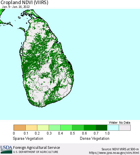 Sri Lanka Cropland NDVI (VIIRS) Thematic Map For 1/11/2022 - 1/20/2022