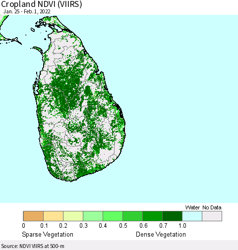 Sri Lanka Cropland NDVI (VIIRS) Thematic Map For 1/25/2022 - 2/1/2022