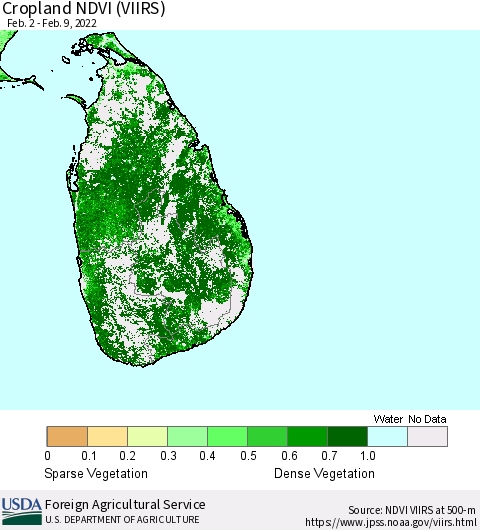 Sri Lanka Cropland NDVI (VIIRS) Thematic Map For 2/1/2022 - 2/10/2022