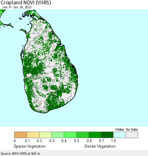 Sri Lanka Cropland NDVI (VIIRS) Thematic Map For 1/9/2023 - 1/16/2023