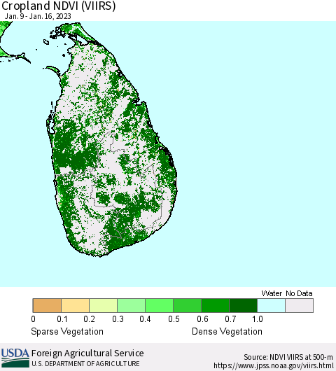 Sri Lanka Cropland NDVI (VIIRS) Thematic Map For 1/11/2023 - 1/20/2023