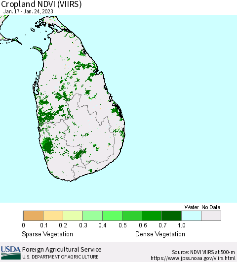 Sri Lanka Cropland NDVI (VIIRS) Thematic Map For 1/21/2023 - 1/31/2023
