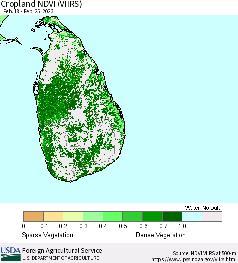 Sri Lanka Cropland NDVI (VIIRS) Thematic Map For 2/21/2023 - 2/28/2023