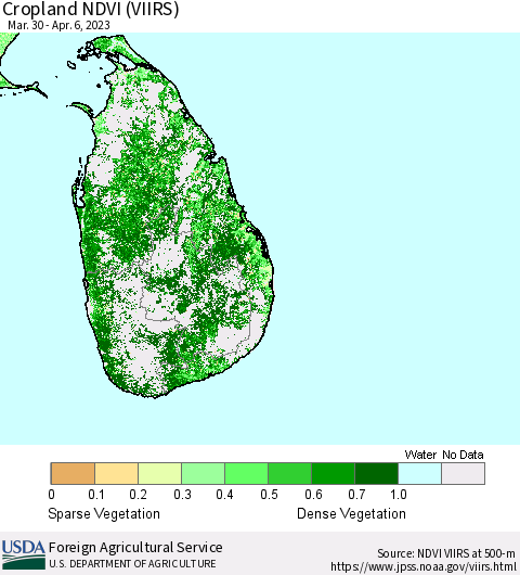 Sri Lanka Cropland NDVI (VIIRS) Thematic Map For 4/1/2023 - 4/10/2023