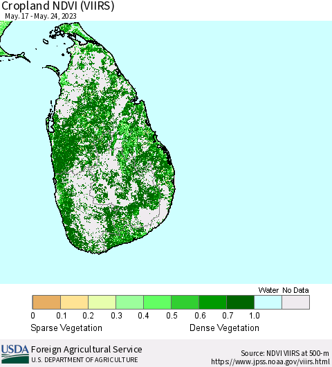 Sri Lanka Cropland NDVI (VIIRS) Thematic Map For 5/21/2023 - 5/31/2023