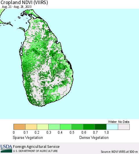 Sri Lanka Cropland NDVI (VIIRS) Thematic Map For 8/21/2023 - 8/31/2023