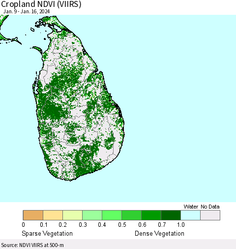 Sri Lanka Cropland NDVI (VIIRS) Thematic Map For 1/9/2024 - 1/16/2024