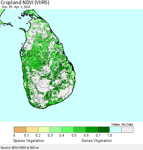 Sri Lanka Cropland NDVI (VIIRS) Thematic Map For 3/29/2024 - 4/5/2024
