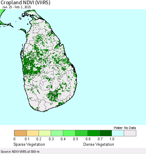 Sri Lanka Cropland NDVI (VIIRS) Thematic Map For 1/25/2025 - 2/1/2025