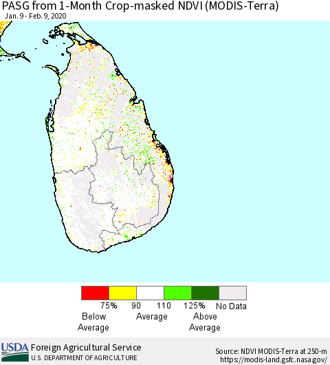 Sri Lanka PASG from 1-Month Cropland NDVI (Terra-MODIS) Thematic Map For 2/1/2020 - 2/10/2020