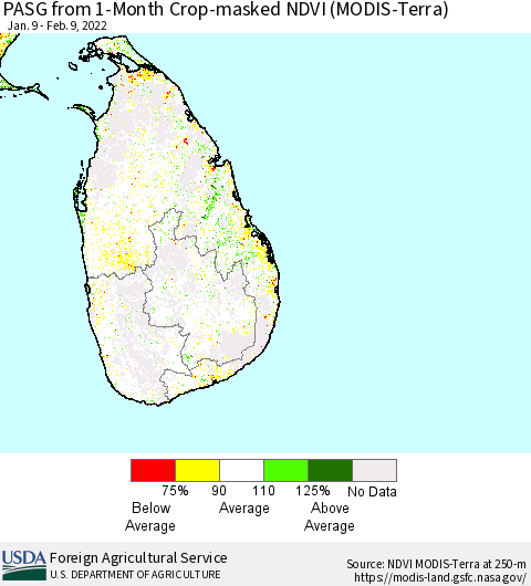 Sri Lanka PASG from 1-Month Cropland NDVI (Terra-MODIS) Thematic Map For 2/1/2022 - 2/10/2022