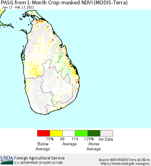 Sri Lanka PASG from 1-Month Cropland NDVI (Terra-MODIS) Thematic Map For 2/11/2022 - 2/20/2022