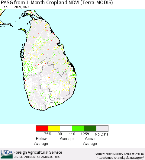 Sri Lanka PASG from 1-Month Cropland NDVI (Terra-MODIS) Thematic Map For 2/1/2023 - 2/10/2023