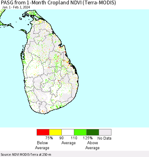 Sri Lanka PASG from 1-Month Cropland NDVI (Terra-MODIS) Thematic Map For 1/25/2024 - 2/1/2024