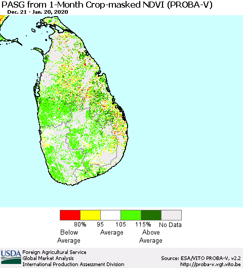 Sri Lanka PASG from 1-Month Crop-masked NDVI (PROBA-V) Thematic Map For 1/11/2020 - 1/20/2020