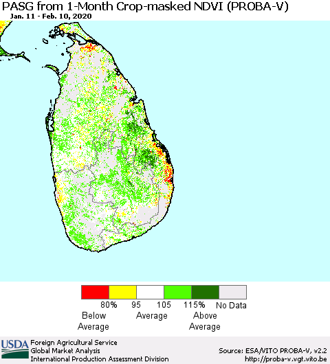 Sri Lanka PASG from 1-Month Crop-masked NDVI (PROBA-V) Thematic Map For 2/1/2020 - 2/10/2020