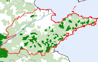 Shandong