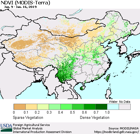 China and Taiwan NDVI (Terra-MODIS) Thematic Map For 1/11/2019 - 1/20/2019