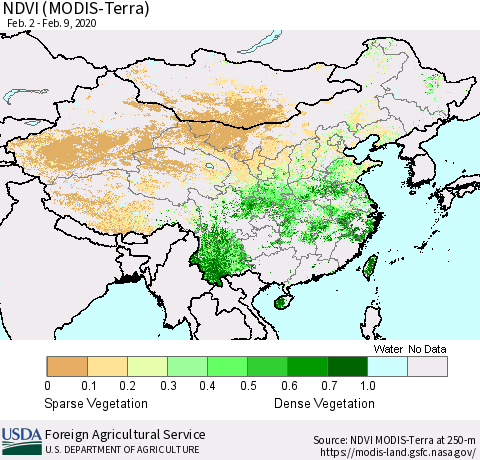 China and Taiwan NDVI (Terra-MODIS) Thematic Map For 2/1/2020 - 2/10/2020