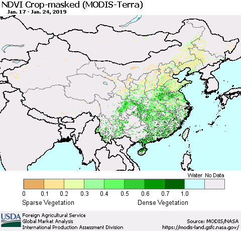 China and Taiwan Cropland NDVI (Terra-MODIS) Thematic Map For 1/21/2019 - 1/31/2019