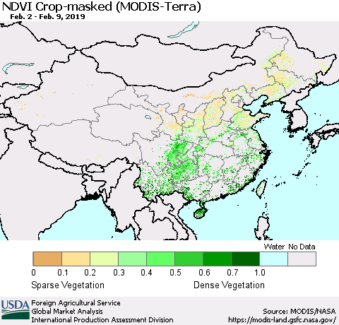 China, Mongolia and Taiwan Cropland NDVI (Terra-MODIS) Thematic Map For 2/1/2019 - 2/10/2019